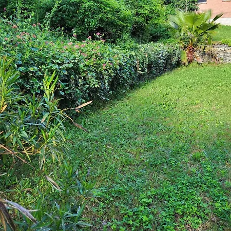 Appartement T4 90 M2, Terrasse Et Jardin Prive 100m2 Toulouse